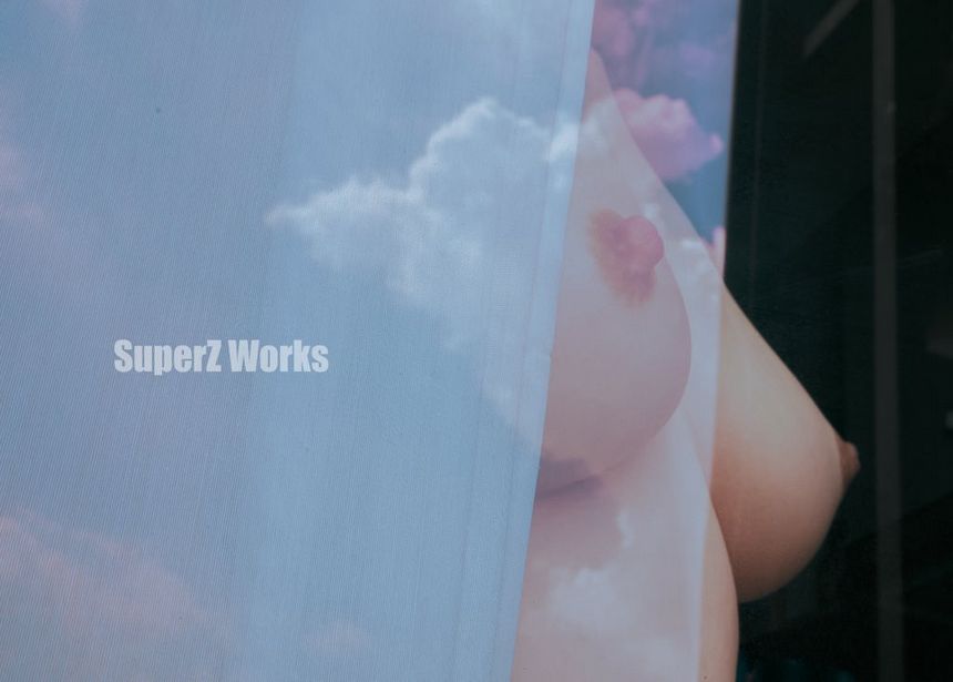 SuperZ WorksƷ ڹ ʦ [95P] ͼ () P.4