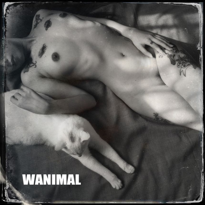 ͼ[125P] WANIMALƷ ڹ P.1 